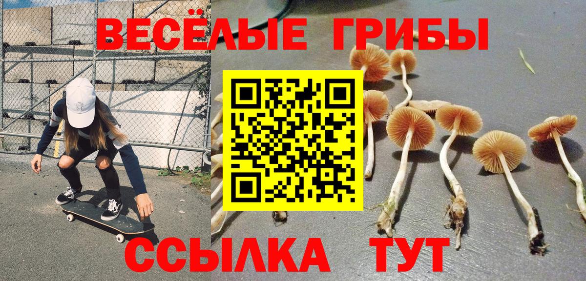 Великий Устюг  Псилоцибиновые грибы мухоморы  Псилоцибиновые грибы Psilocybe  Вход с VPN 