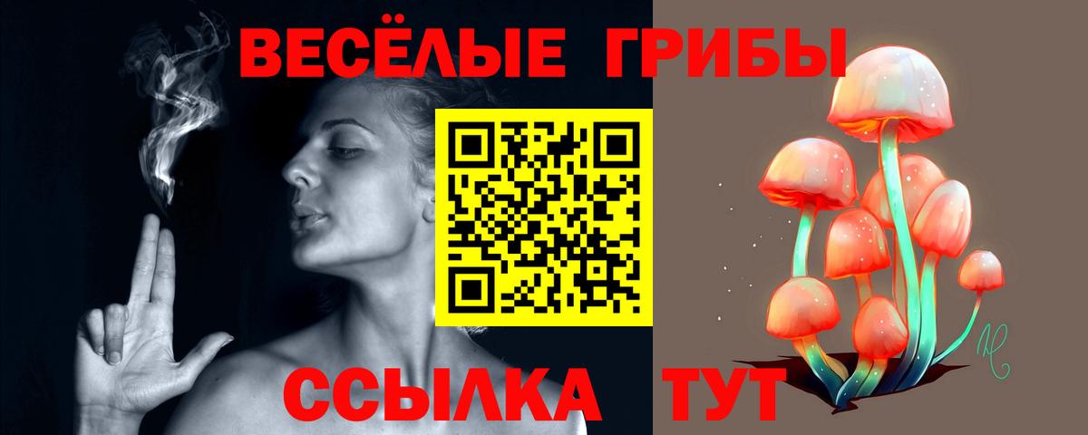 Псилоцибиновые грибы MAGIC MUSHROOMS Великий Устюг